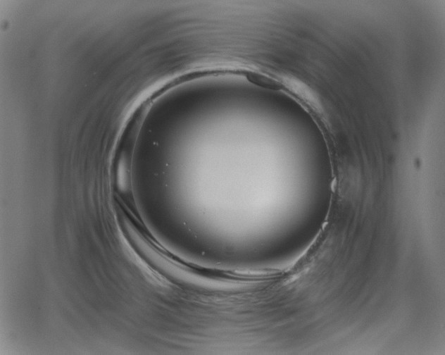X0000062651380200512230845