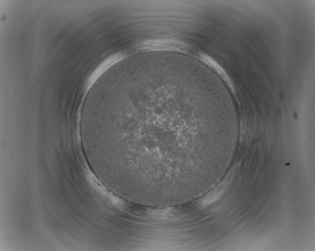 X0000062651386200512230845
