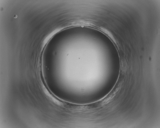 X0000062651387200512230845