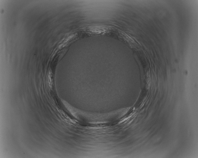 X0000062651394200512230844