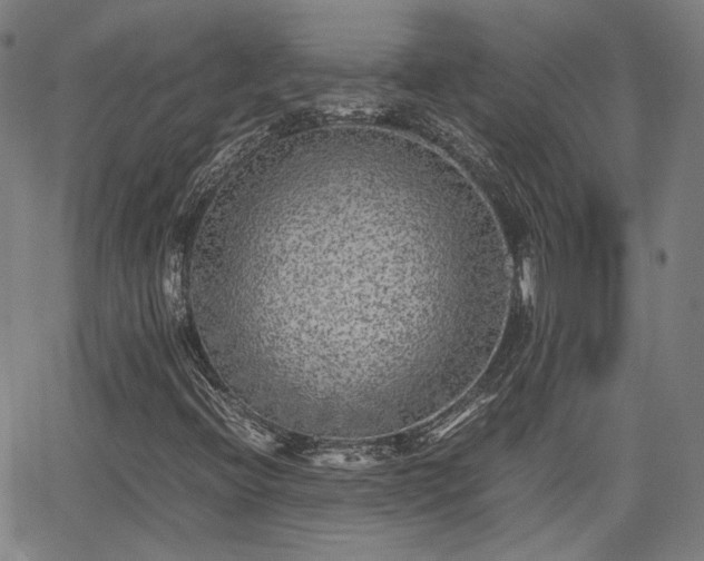 X0000062651396200512230844