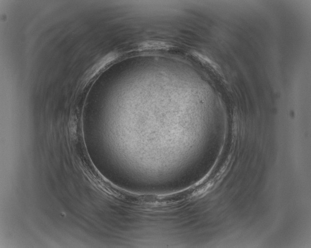 X0000062651401200512230844