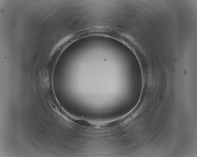 X0000062651402200512230844
