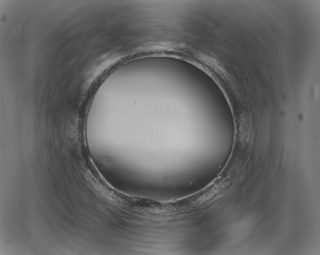 X0000062651404200512230844