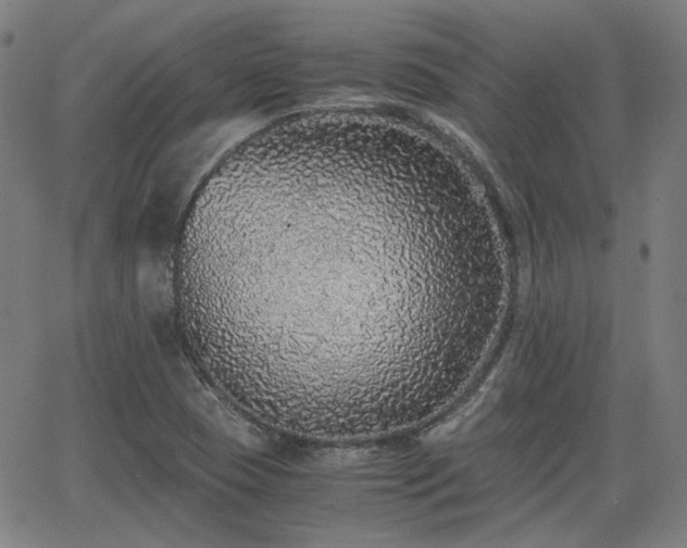 X0000062651409200512230844