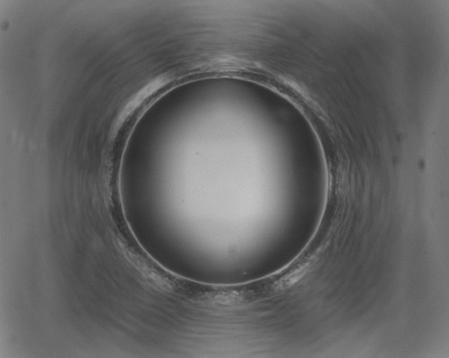 X0000062651410200512230844