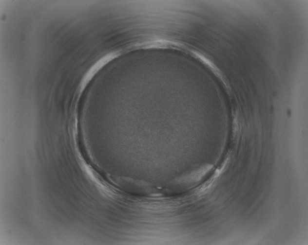 X0000062651418200512230844