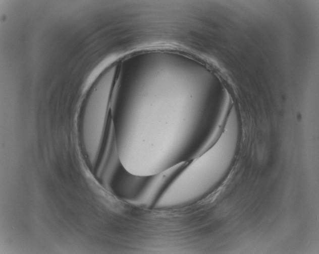 X0000062651422200512230844