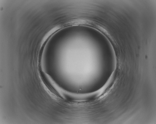 X0000062651426200512230844