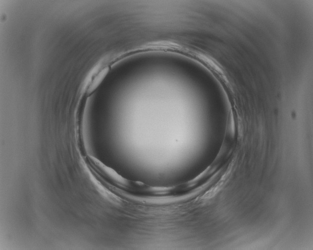 X0000062651430200512230844