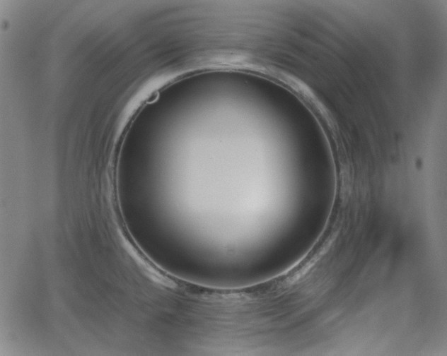 X0000062651432200512230844