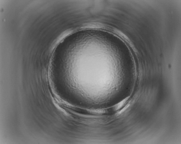 X0000062651433200512230844