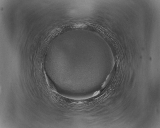 X0000062651441200512230844