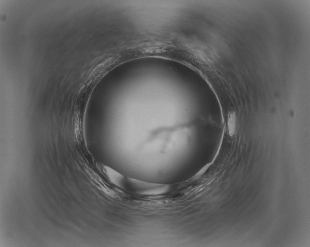 X0000062651444200512230844