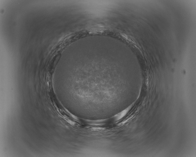 X0000062651445200512230844