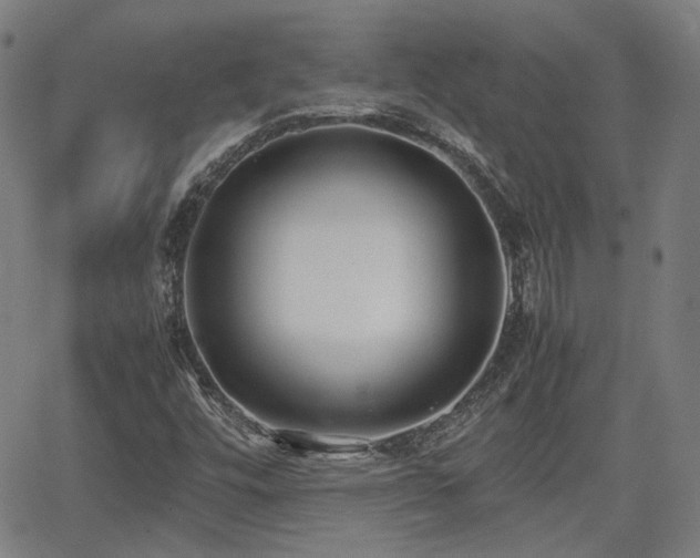 X0000062651448200512230844