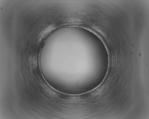 X0000062651451200512230844