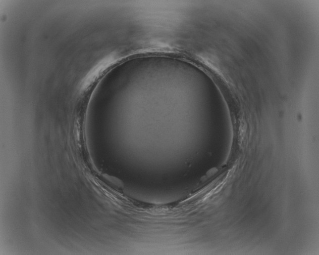 X0000062651455200512230843