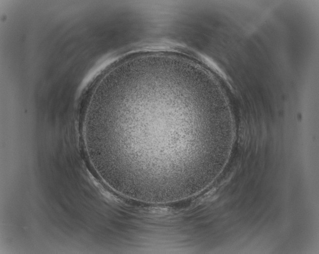 X0000062651456200512230843