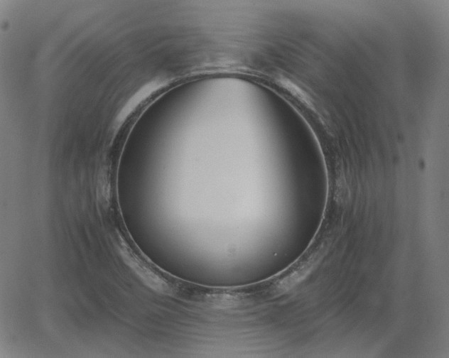 X0000062651458200512230843