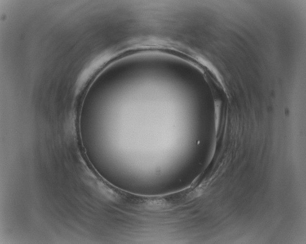 X0000062651464200512230843