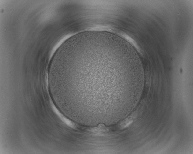 X0000062651476200512230843
