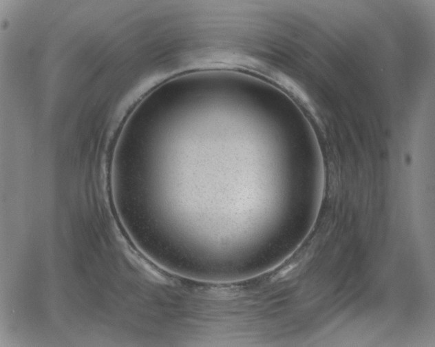 X0000062651480200512230843