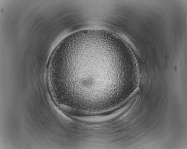 X0000062651484200512230843