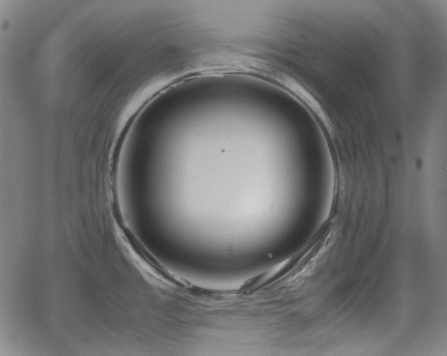 X0000062651485200512230843