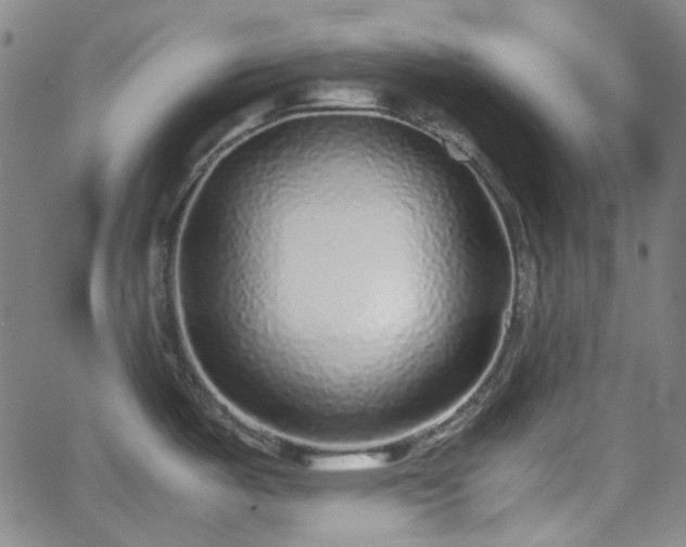 X0000062651487200512230843