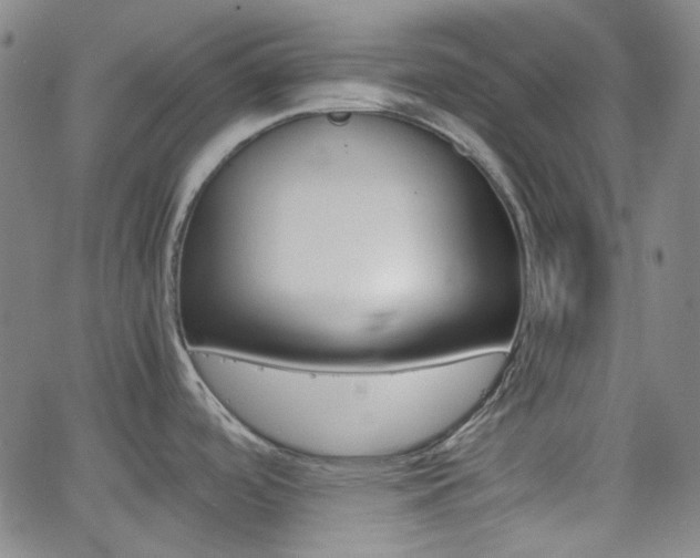 X0000062651488200512230843