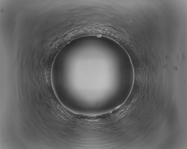 X0000062651490200512230842