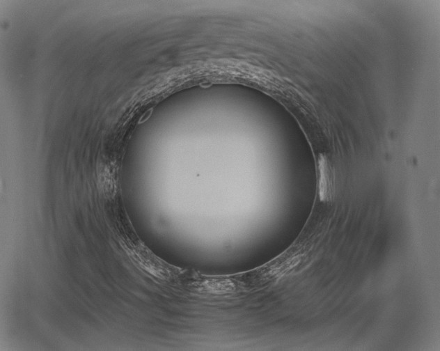 X0000062651491200512230842