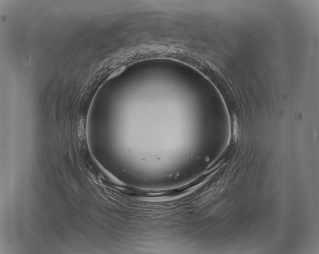 X0000062651492200512230842