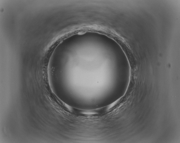 X0000062651496200512230842