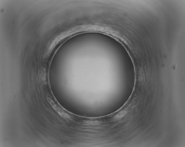 X0000062651499200512230842