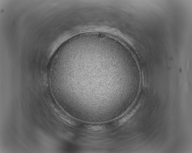X0000062651501200512230842