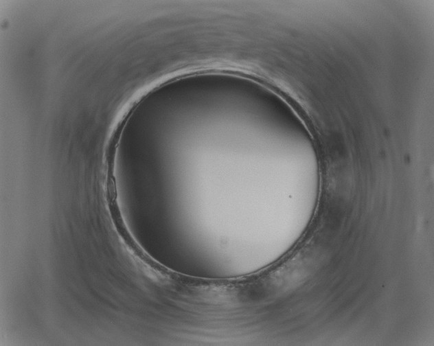 X0000062651508200512230842