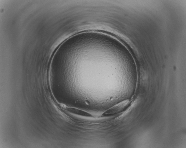 X0000062651513200512230843