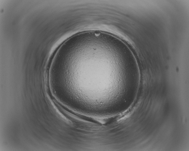 X0000062651517200512230843