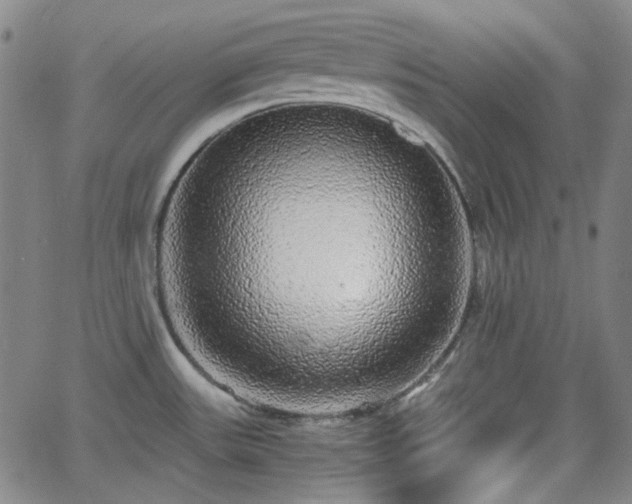X0000062651531200512230843