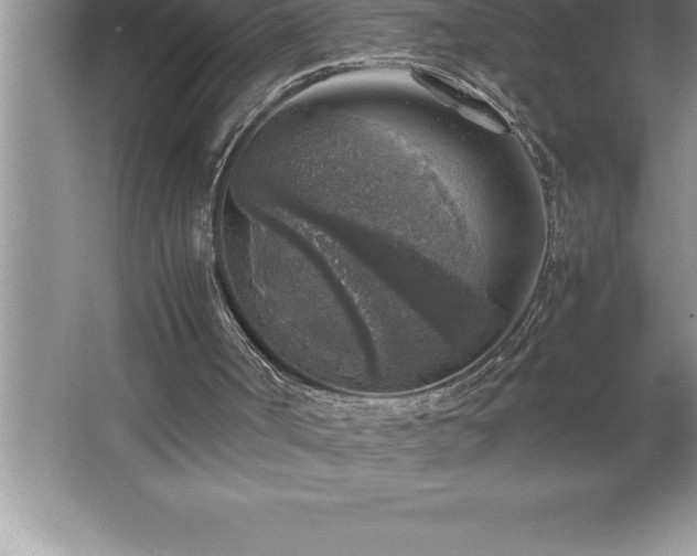 X0000062650002200512281659