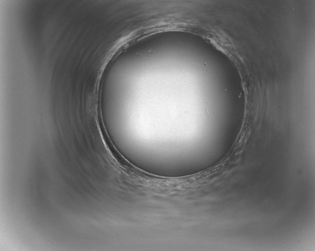 X0000062650003200512281659