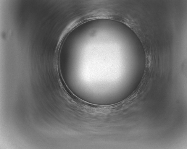 X0000062650004200512281659