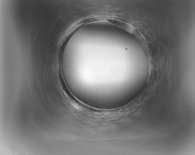 X0000062650005200512281659