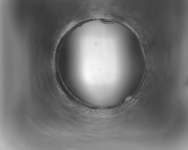 X0000062650008200512281659