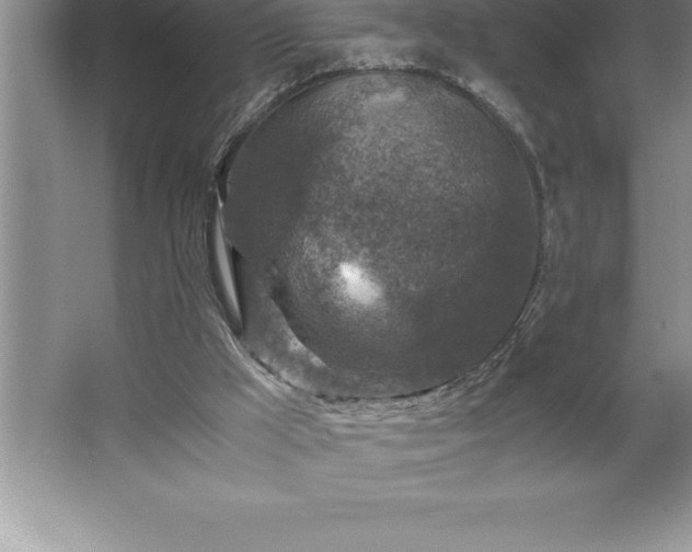 X0000062650009200512281659