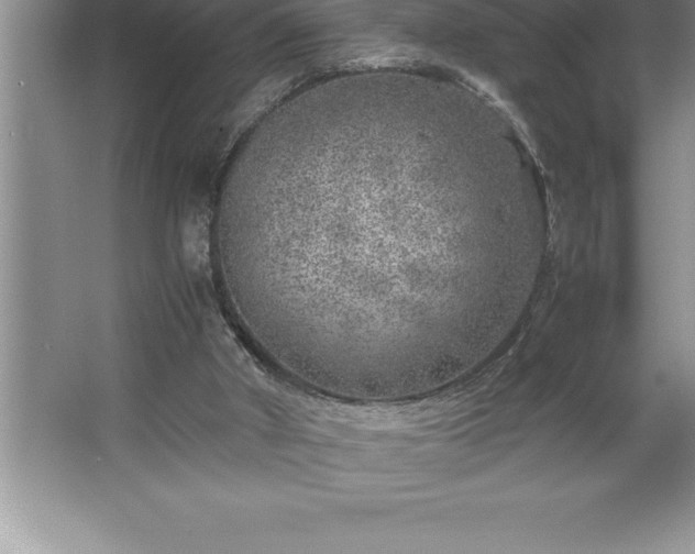 X0000062650010200512281659