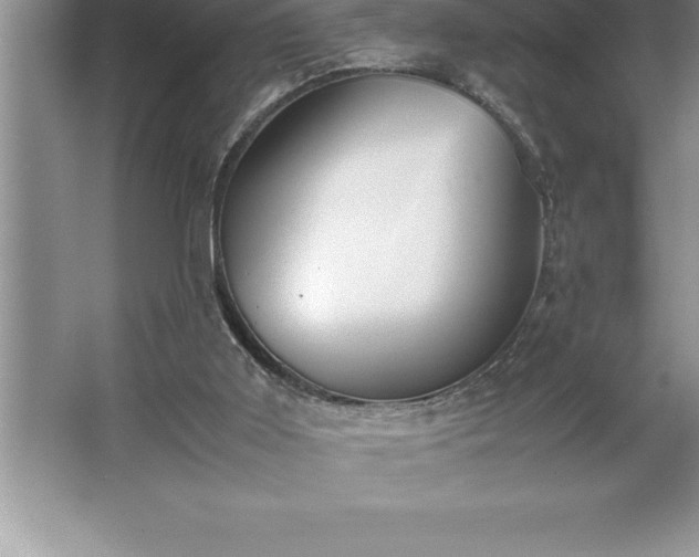 X0000062650011200512281659