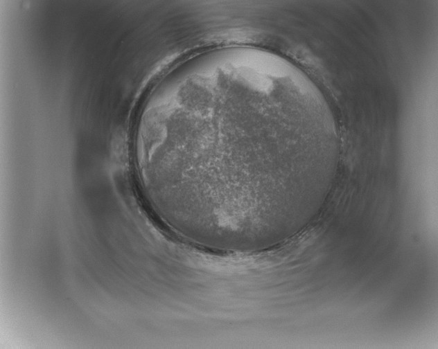 X0000062650012200512281659